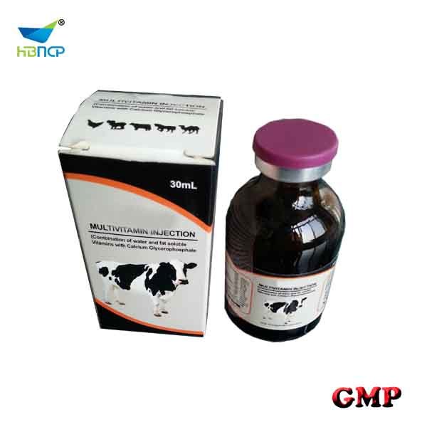 Veterinary Medicine Manufacturer Supply Multivitamin Injection