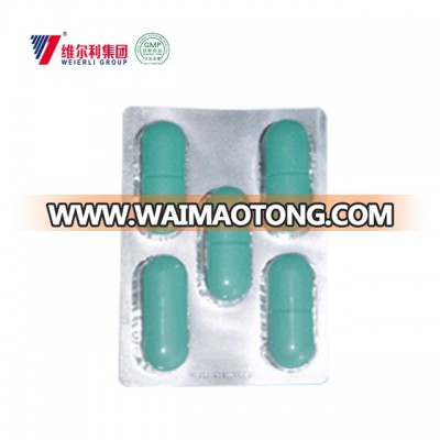 GMP Oxytetracycline bolus for cattle sheep goat camel use veterinary medicine